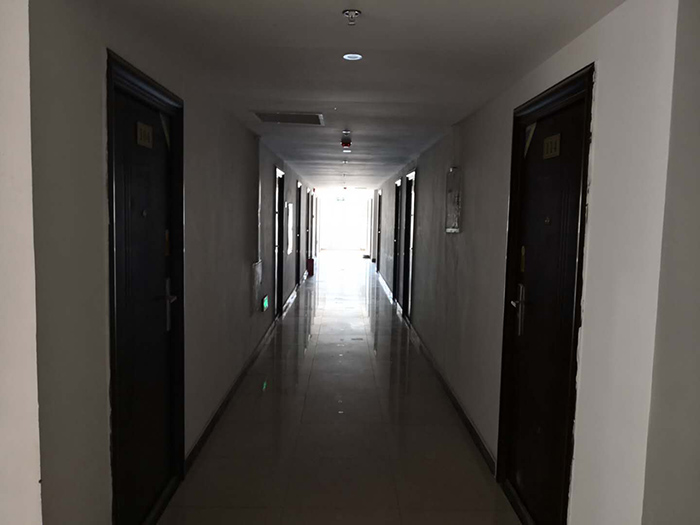 1556090090413778.jpg 科研楼楼道 李凯旋摄