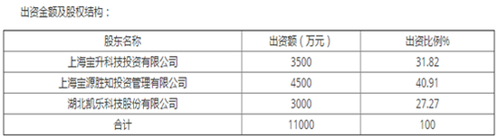 亨通光电33亿预付款与集团69亿其他应收款之谜
