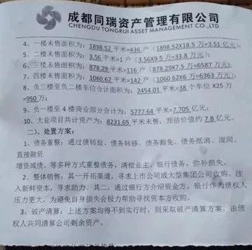 成都同瑞在处理方案中未涉及5层资产 业主供图