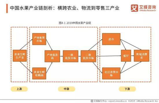 2019中国水果市场运行大数据与投资分析报告