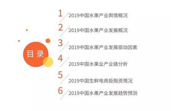 2019中国水果市场运行大数据与投资分析报告