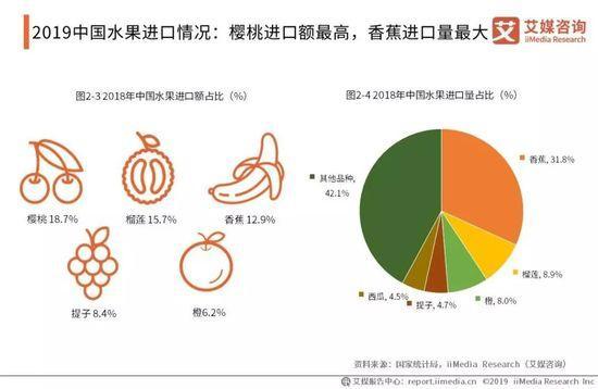 2019中国水果市场运行大数据与投资分析报告