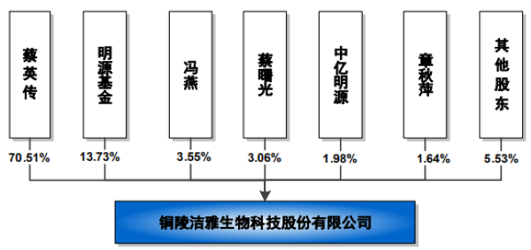 铜陵洁雅股份科技股份有限公司股权穿透图(来源:招股书)