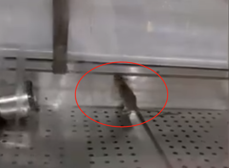 图源:看看新闻